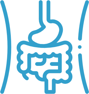 Digestive Health - Static