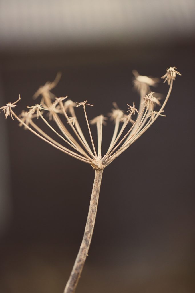 5 ways to scale back & get in touch with what’s really important