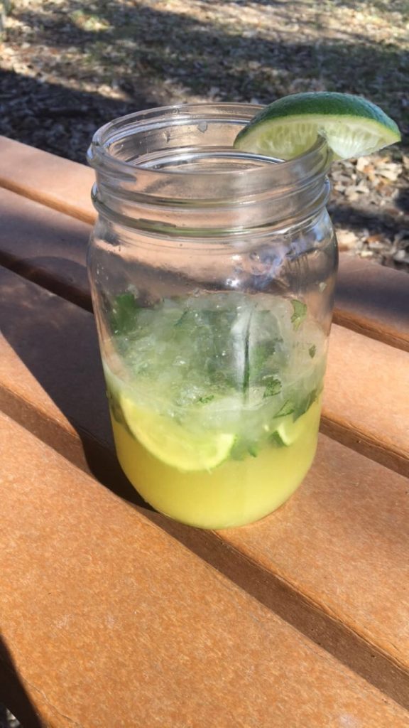 Jalapeno-Cilantro Kombucha Margaritas